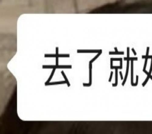 亚冬会男子,短道速滑,米预赛半决,香港马会,赛程安排,赛果查询,马匹资料,赛事动态