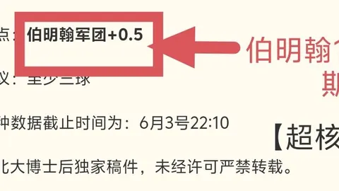 2026独家赛程安排： 游戏深度解析，融合 精髓与经营模拟的魅力